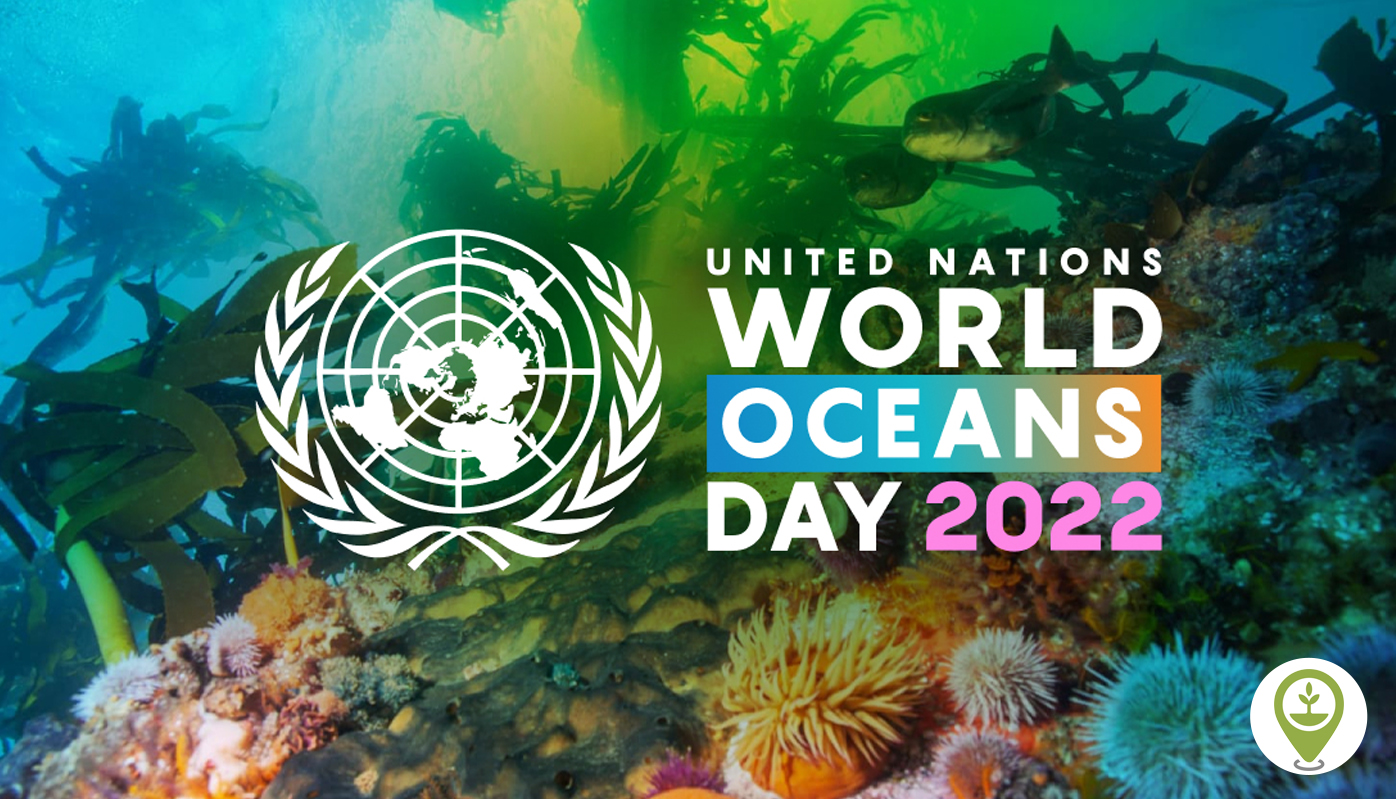 Everything about World Ocean Day 2022