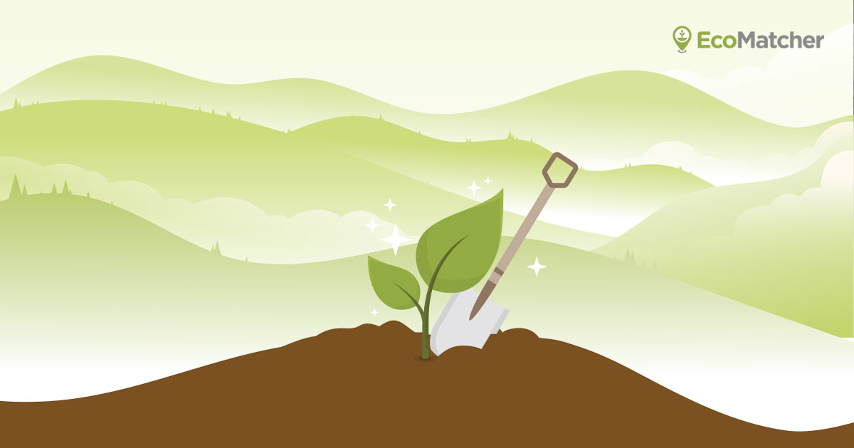 Integrating Tree Planting Into Your Business Ecomatcher